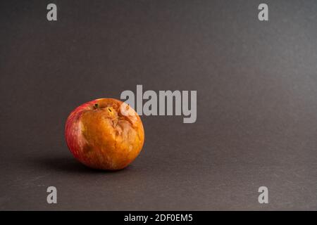 Rotten apple with a worm on a uniform black background. Stock Photo