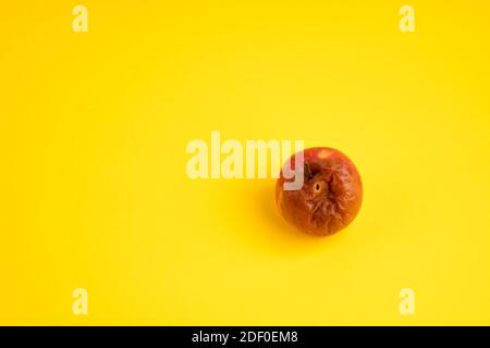 Rotten apple with a worm on a uniform yellow background. Stock Photo