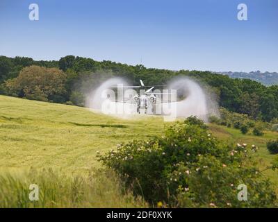 Aerial spraying over a field of wheat to control pests in agriculture Stock Photo
