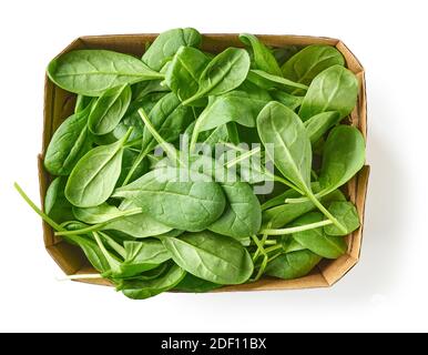 fresh green spinach leaves in cardboard container isolated on white background, top view Stock Photo