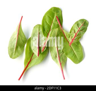 fresh green beet root leaves for healthy meal isolated on white background, top view Stock Photo