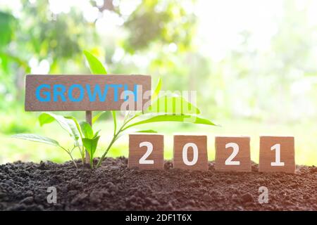 Year 2021 economy and business growth and recovery concept. Wooden blocks 2021 text with growing plant at sunrise on natural background. Stock Photo