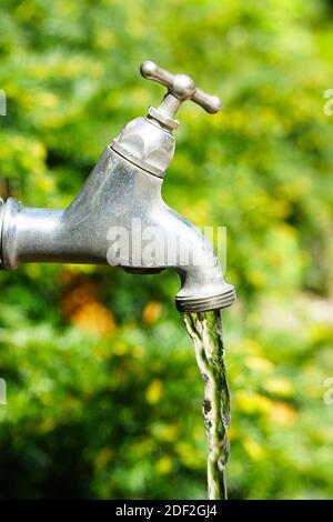 A vertical shot of water coming out of a faucet behind trees Stock Photo