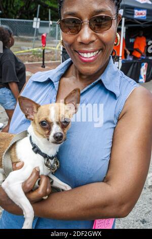 Miami Florida,Coconut Grove Grand Avenue Black African Africans,woman female pet dog Chihuahua small dog holds holding, Stock Photo