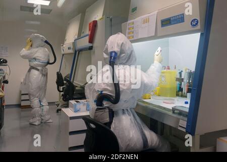 Scientists at work in high-level P3 biosafety security laboratory at the Pasteur Institute of Lille, on February 20, 2020 in Lille, France. The research institute has sequenced the genome of Coronavirus 2019-nCoV using blood samples taken from the first confirmed French cases of the virus. The institute's scientists will now focus on developing how the virus works, treatments and a possible vaccine. Photo by ABACAPRESS.COM Stock Photo