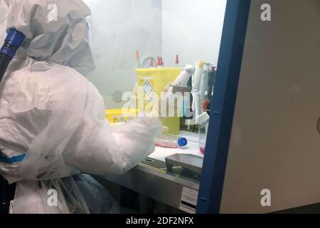 Scientists at work in high-level P3 biosafety security laboratory at the Pasteur Institute of Lille, on February 20, 2020 in Lille, France. The research institute has sequenced the genome of Coronavirus 2019-nCoV using blood samples taken from the first confirmed French cases of the virus. The institute's scientists will now focus on developing how the virus works, treatments and a possible vaccine. Photo by ABACAPRESS.COM Stock Photo