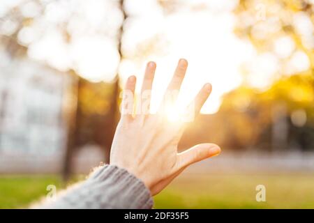 Hand silhouette against sunset. Rays of sun between fingers. Nature concept Stock Photo