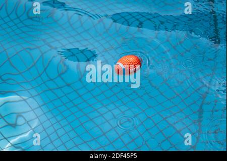 Toy ball floating on the pool water Stock Photo