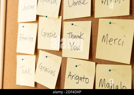 Thank you word cloud notes on corkboard Stock Photo