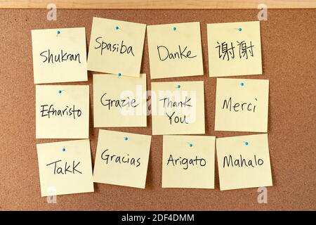 Thank you word cloud notes on corkboard Stock Photo