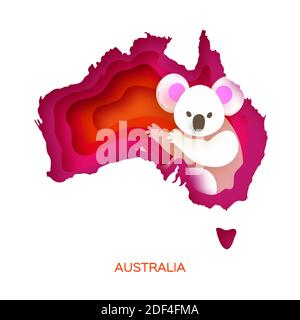 Koala bear and Australian map Stock Vector Image & Art - Alamy