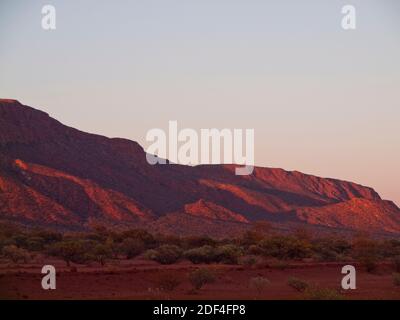 Burringurrah (Mt Augustus, 1105m), is a large Inselberg on Wadjari land ...