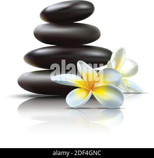 Beautiful 3d realistic vector spa set with black massage stones and wild tropical flowers with reflection. Stock Vector