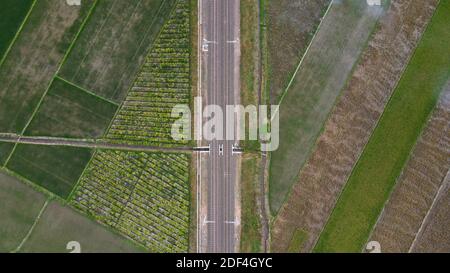 Aerial top view of train rail tracks with rice field around or green country field it in Indonesia. Stock Photo