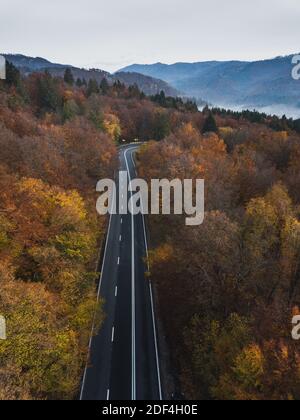 Aerial view of asphalt road trough the autumn colorful forest. Captured from above with drone. Stock Photo
