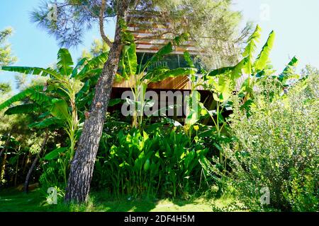 Luxury villa in bamboo garden Stock Photo