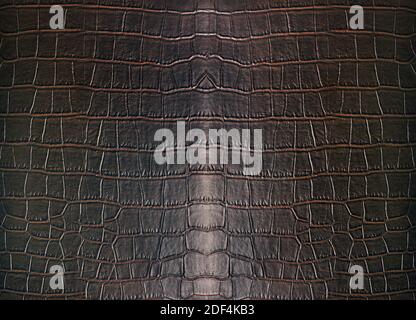 Crocodile dark brown leather animals alligator texture background Stock Photo