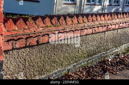 A front garden wall with coping of bricks. Stock Photo