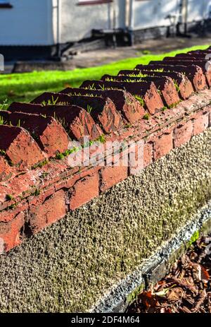 A front garden wall with coping of bricks. Stock Photo