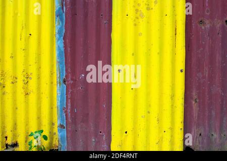 Yellow and purple metallic fence closeup, colorful material photo texture. Corrugated iron rustic surface closeup. Contrast outside wall for material Stock Photo