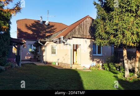 Freshly cut grass with yellow tree in the backyard of a private house Stock Photo