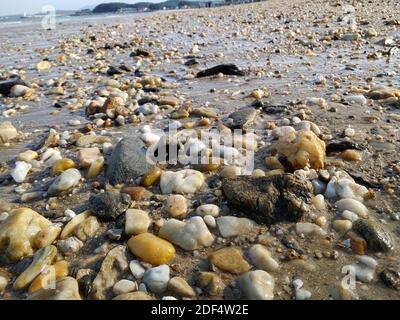 Small rocks scattered on the beach close up Stock Photo