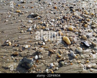 Small rocks scattered on the beach close up Stock Photo