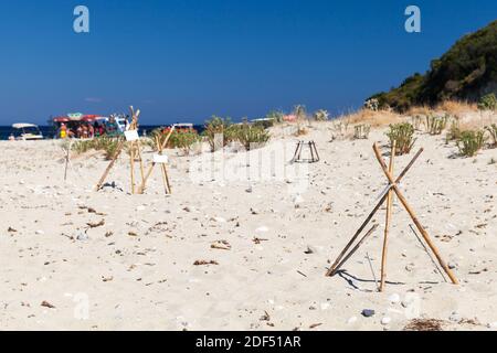 Protective structures in the sand of nesting sites for egg-laying turtles Stock Photo