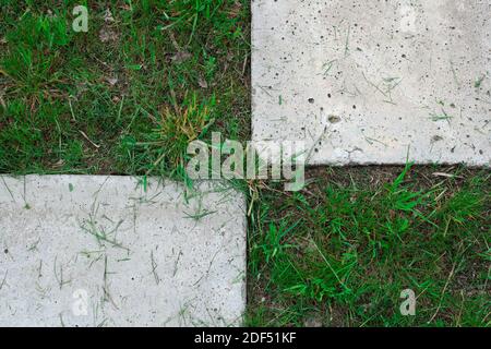 two geometrically located slabs between which grass grows Stock Photo