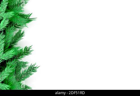 Spruce branches isolated on white background. Vector christmas tree. Stock Vector