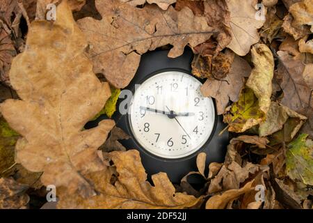 Vintage table clock among fallen autumn leaves Stock Photo