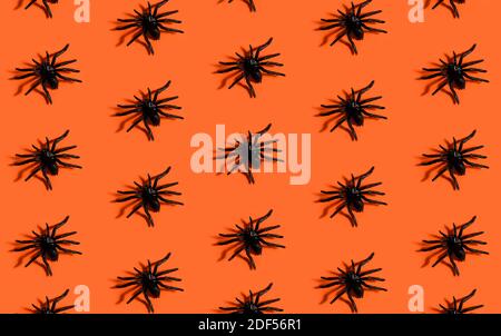 Halloween background pattern. Scary black spider on orange paper. Minimal pop art design for halloween party concept. Stock Photo