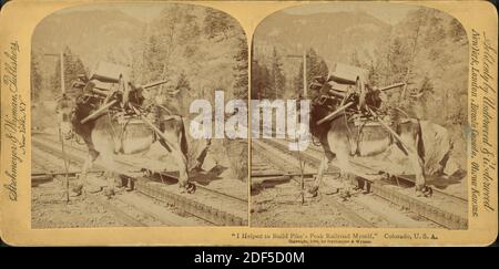 I helped to build Pike's Peak railroad myself,' Colorado, U.S.A., still image, Stereographs, 1850 - 1930 Stock Photo