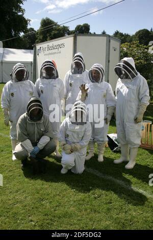 Ayr Flower Show 2014, Rozelle Park, Ayr, Ayrshire, Scotland UK. Bee keeping demonstration Stock Photo