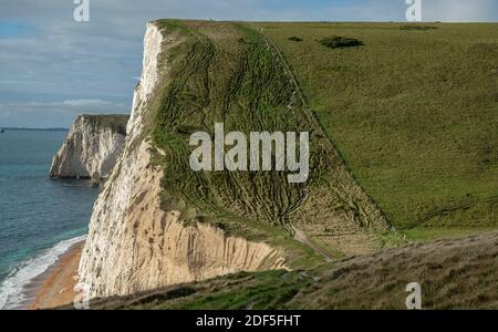 Chalk cliffs and downs west of Lulworth, looking towards Swyre Head. Jurassic coast, Dorset. Stock Photo