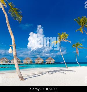Perfect island beach with water villas, luxury bungalows under palm trees, close to blue sea. Amazing travel destination, relax beach resort landscape Stock Photo