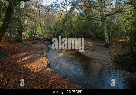 New Forest River, Highland Water, at Millyford Bridge in autumn, in the New Forest, Hampshire. Stock Photo