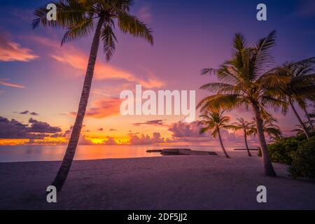 Tranquil summer vacation or holiday landscape. Tropical sunset beach landscape view with palm trees and colorful sky. Relax nature scene, amazing Stock Photo