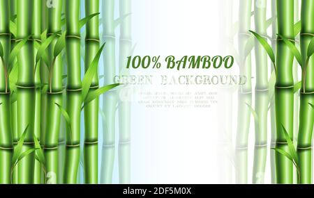 realistic bamboo eco background. With copy space for your text. Stock Vector