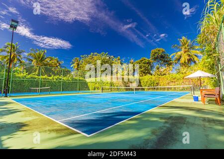 Amazing sport and recreational background as tennis court on tropical landscape, palm trees and blue sky. Sports in tropic concept Stock Photo