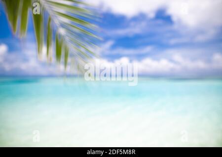 Blurred blue sky and sea with bokeh light and leaves of coconut palm tree. Landscape of idyllic tropical summer. Summer vacation travel concept. Stock Photo