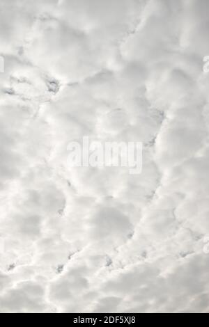 White fluffy clouds in the sky, background and texture Stock Photo