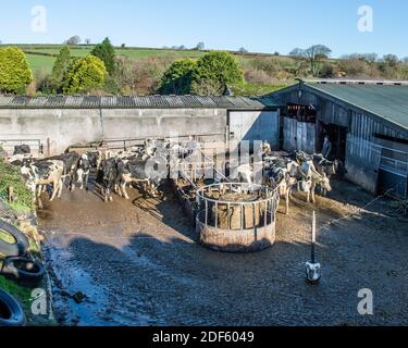 west penquite yard Stock Photo