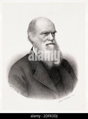 English naturalist, Charles Darwin (1809-1882), portrait engraving by HJW de Roode, 1876 Stock Photo