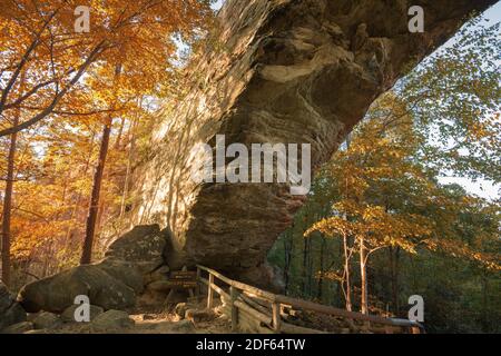 Daniel Boone National Forest, Kentucky, USA under the Natural Arch during auttumn. Stock Photo