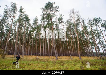 03 December 2020, Saxony-Anhalt, Calvörde: Thomas Roßbach, head of the Flechtingen care forestry office on his way to a wooded area with diseased pines. Extreme weather conditions with drought and storms continue to cause massive damage to the forests in Saxony-Anhalt. Photo: Klaus-Dietmar Gabbert/dpa-Zentralbild/ZB Stock Photo