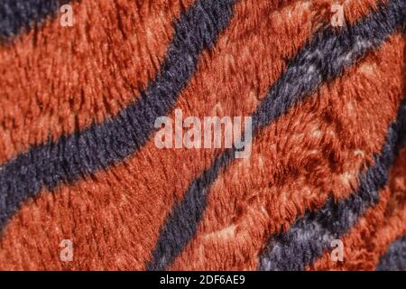 Tiger blanket texture, sparkles in the sun, hair Stock Photo