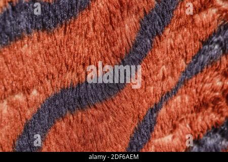 Tiger blanket texture, sparkles in the sun, hair Stock Photo