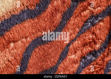 Tiger blanket texture, sparkles in the sun, hair Stock Photo