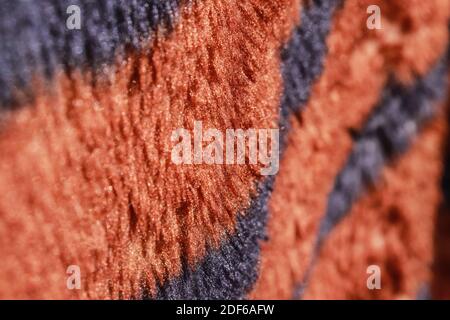 Tiger blanket texture, sparkles in the sun, hair Stock Photo